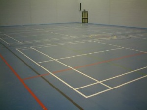 indoor vinyl surface maintenance white line services